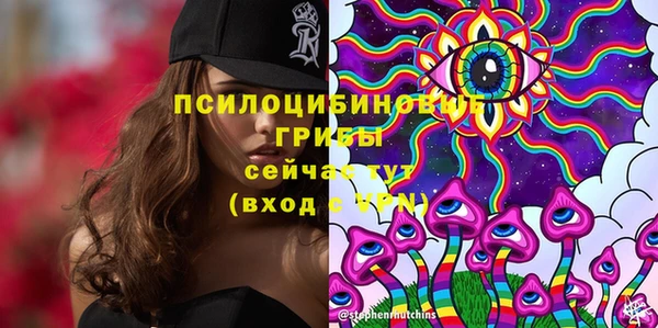 MDMA Premium VHQ Кинешма