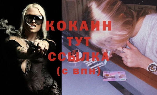 гидра Киреевск