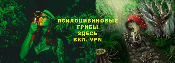 гидра Киреевск