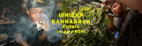 гидра Киреевск