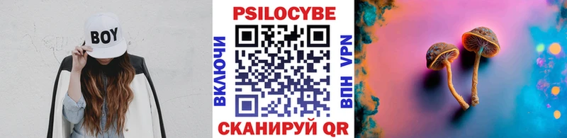 цены наркотик  Покров  Галлюциногенные грибы Psilocybine cubensis 